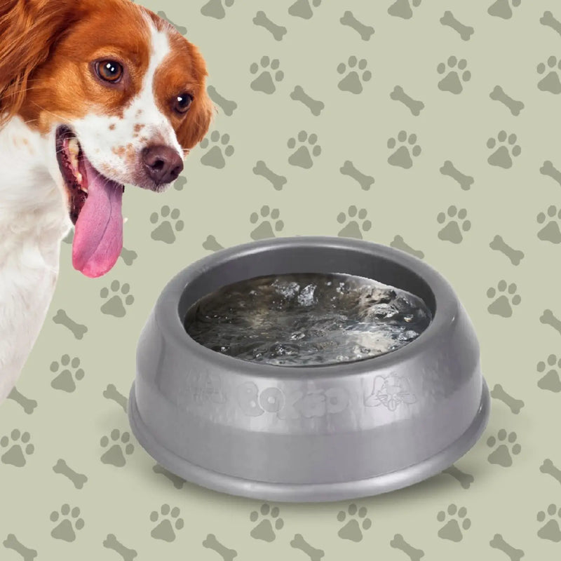 Conjunto de Tigela de alimentação para cachorro e gato, comedouro pet, de plastico, alimentador de cães e gatos, 2 peças