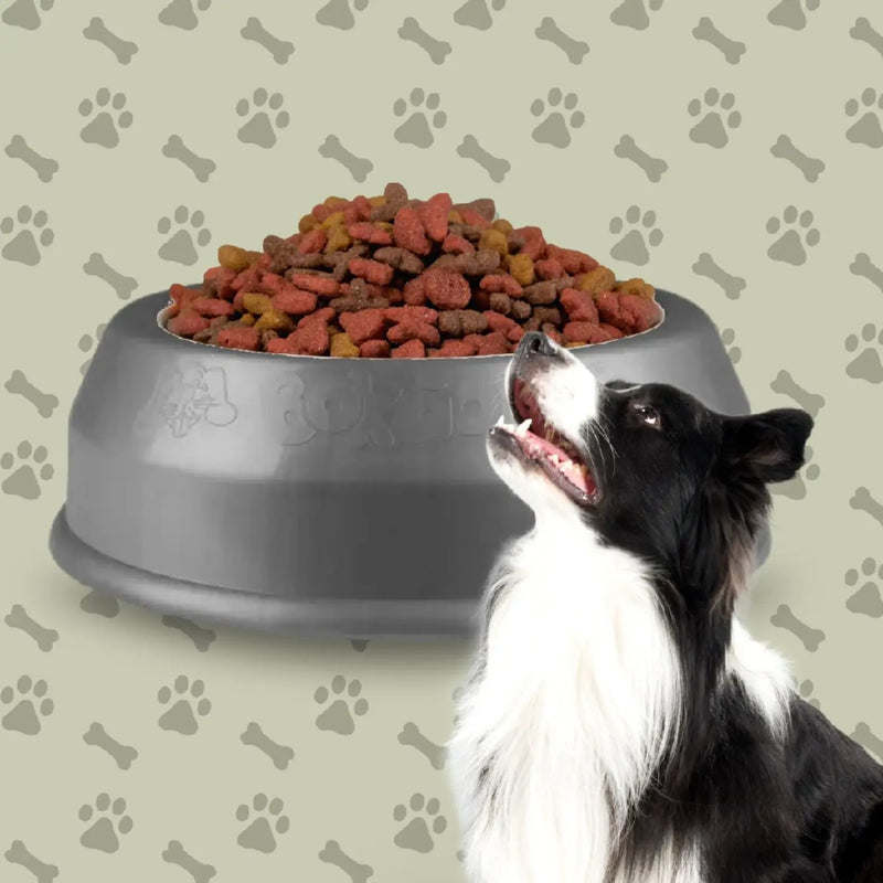 Conjunto de Tigela de alimentação para cachorro e gato, comedouro pet, de plastico, alimentador de cães e gatos, 2 peças